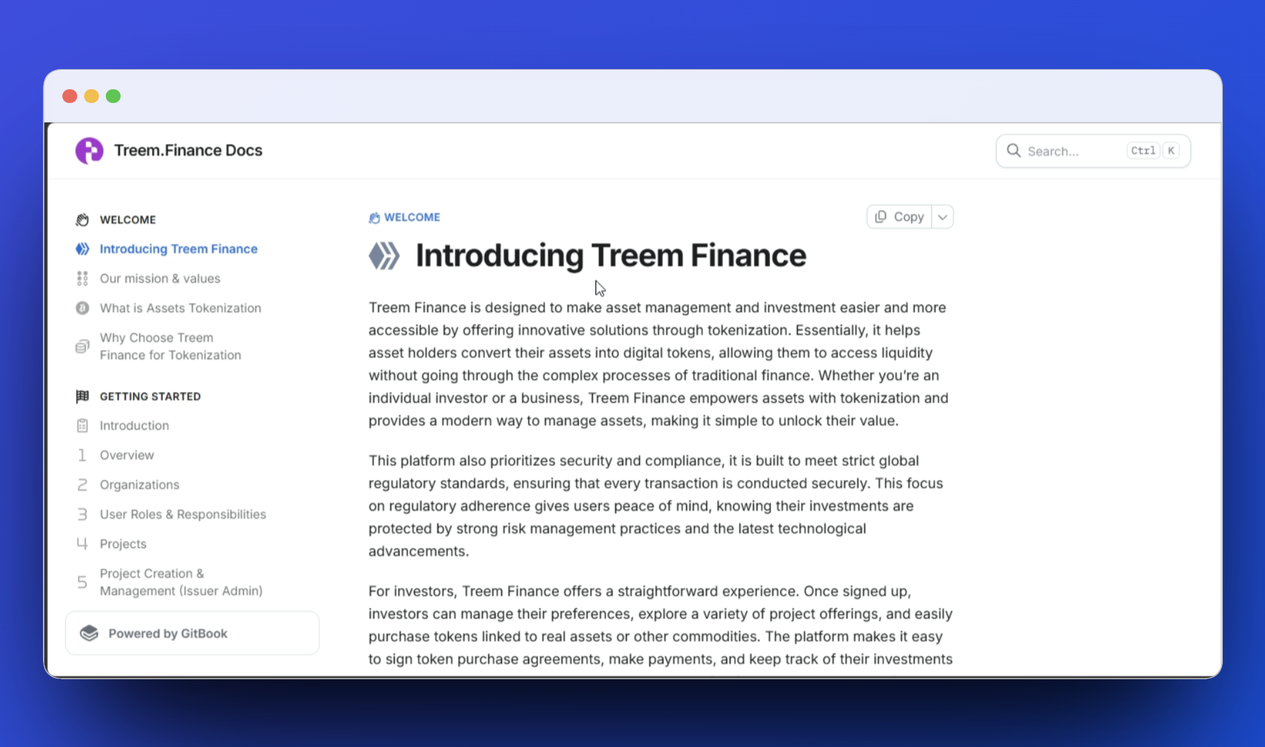 Treem Finance documentation screenshot